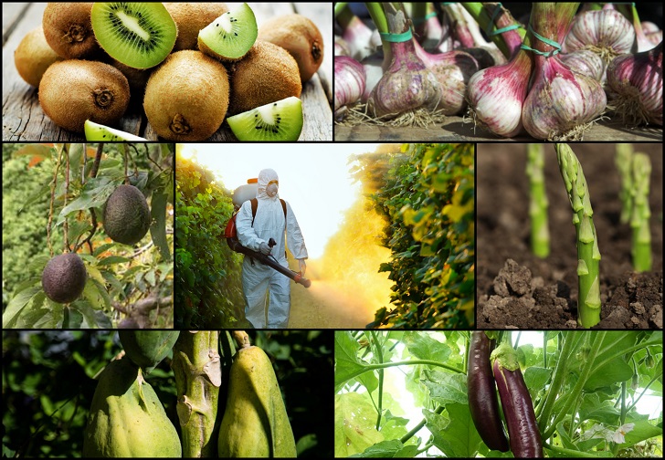 12-Fruits-Veggies-With-The-Most-Pesticides-15-With-The-Least